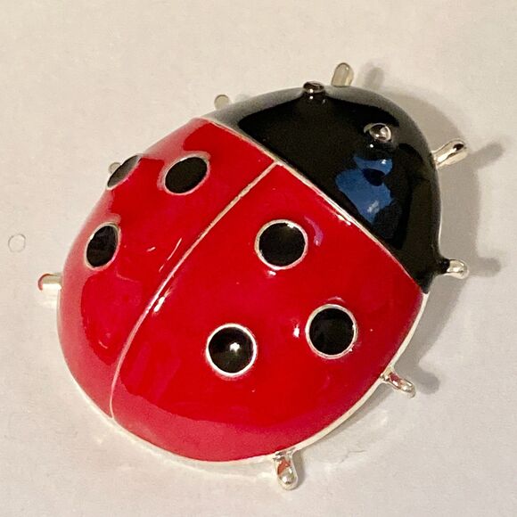 Red Ladybug Pendant Necklace Pin Brooch Enamel 22" Black Cord Insect Bug Big - Picture 6 of 12